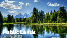 foreground text shows Public Lands and the background is a pond surrounded with pine trees